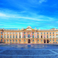 Bluebird Toulouse - Capitole Jigsaw Puzzle (1000 Pieces)