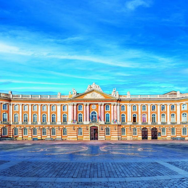 Bluebird Toulouse - Capitole Jigsaw Puzzle (1000 Pieces)