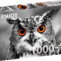 Enjoy Curious Owl Jigsaw Puzzle (1000 Pieces)