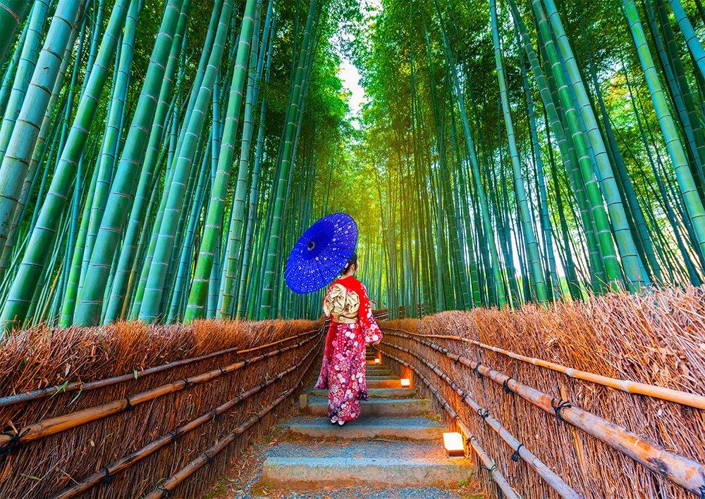 Enjoy Asian Woman in Bamboo Forest Jigsaw Puzzle (1000 Pieces)