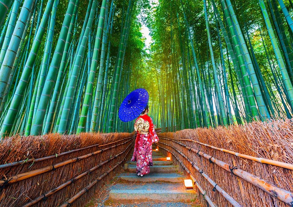 Enjoy Asian Woman in Bamboo Forest Jigsaw Puzzle (1000 Pieces)