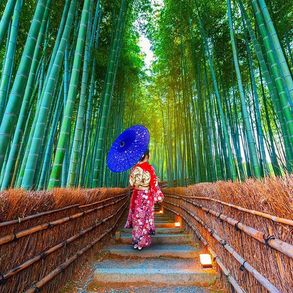 Enjoy Asian Woman in Bamboo Forest Jigsaw Puzzle (1000 Pieces)