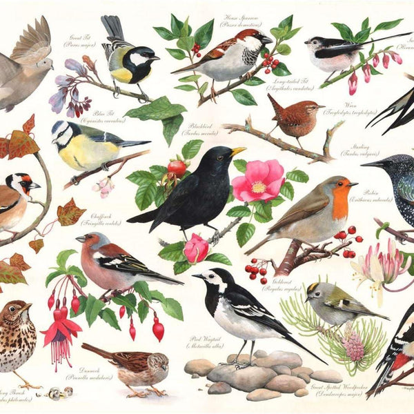 House of Puzzles Birds In My Garden Jigsaw Puzzle (1000 Pieces)