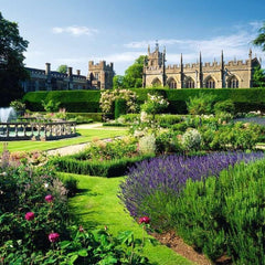 Ravensburger Beautiful Gardens Sudeley Garden Jigsaw Puzzle (1000 Pieces)