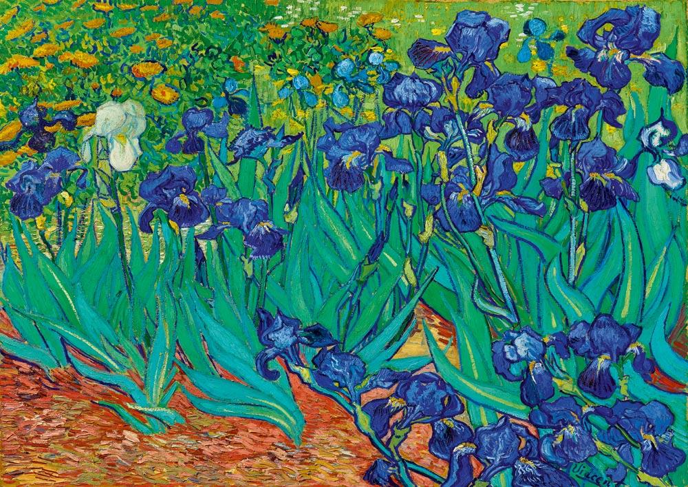 Bluebird Art Van Gogh - Irises, 1889 Jigsaw Puzzle (1000 Pieces)
