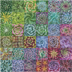 Galison Succulent Spectrum Jigsaw Puzzle (500 Pieces)