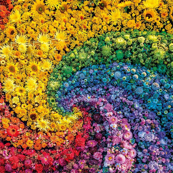 Clementoni Whirl Colorboom Jigsaw Puzzle (1000 Pieces)