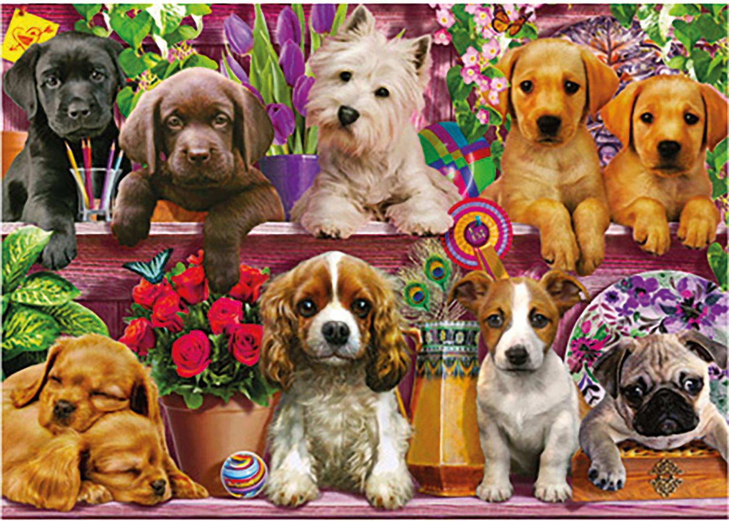 Schmidt Dog in the Shelves Jigsaw Puzzle (500 Pieces)