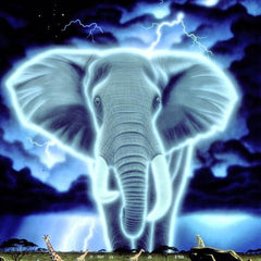 Grafika Schim Schimmel - Spirit of Africa Jigsaw Puzzle (1000 Pieces)