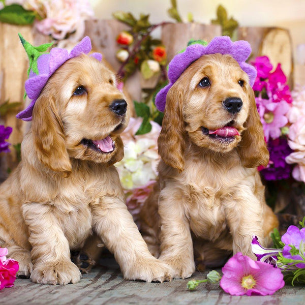 Enjoy Spaniel Puppies with Flower Hats Jigsaw Puzzle (1000 Pieces)