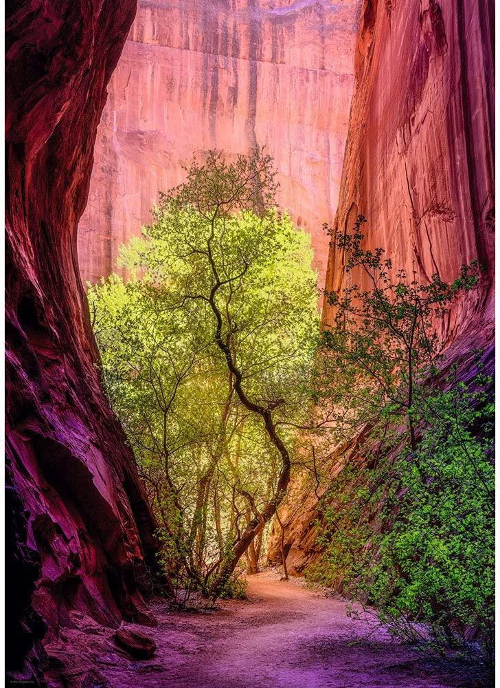Heye Singing Canyon, Power of Nature Jigsaw Puzzle (1000 Pieces)