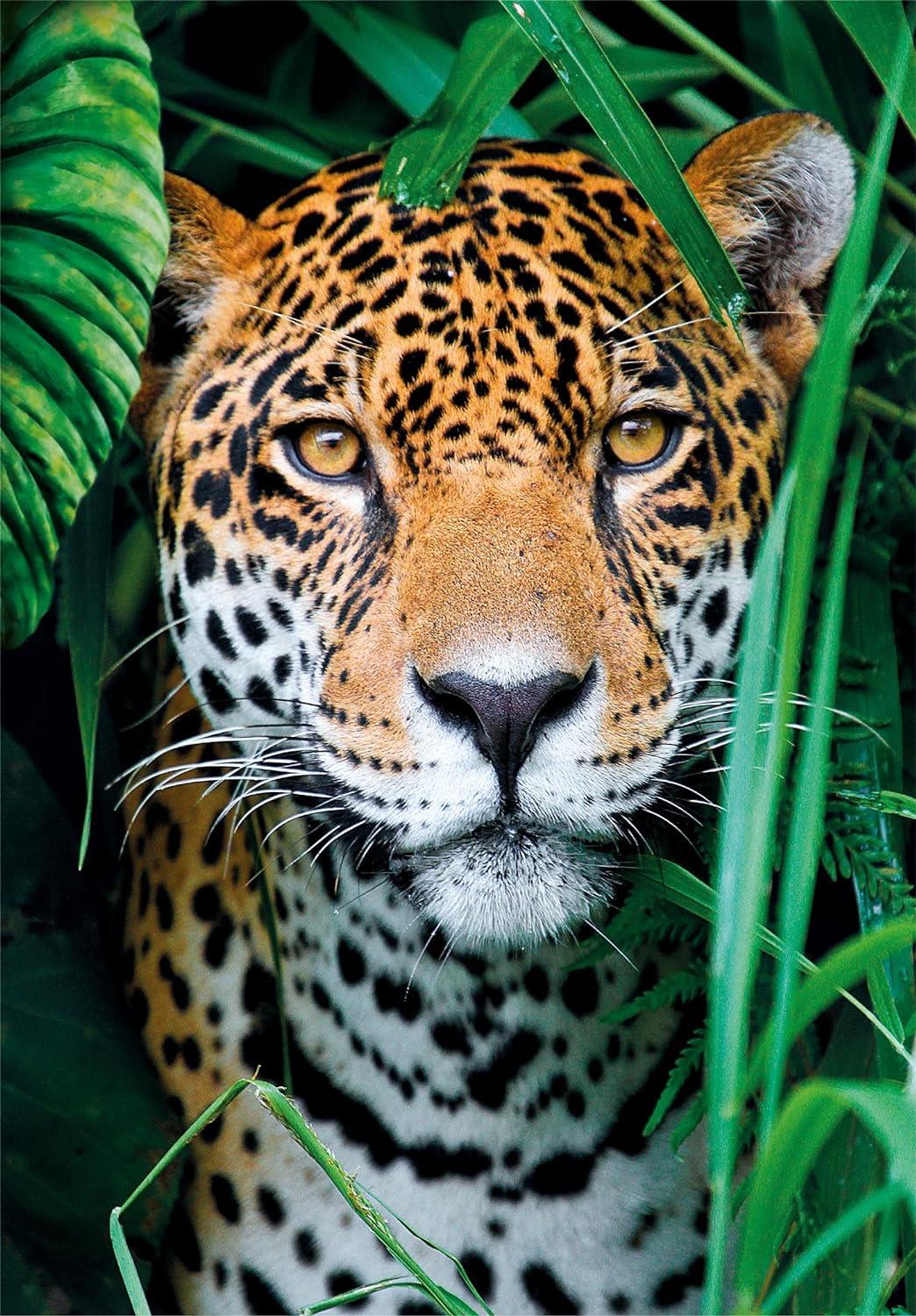 Clementoni Jaguar In The Jungle Jigsaw Puzzle (500 Pieces)