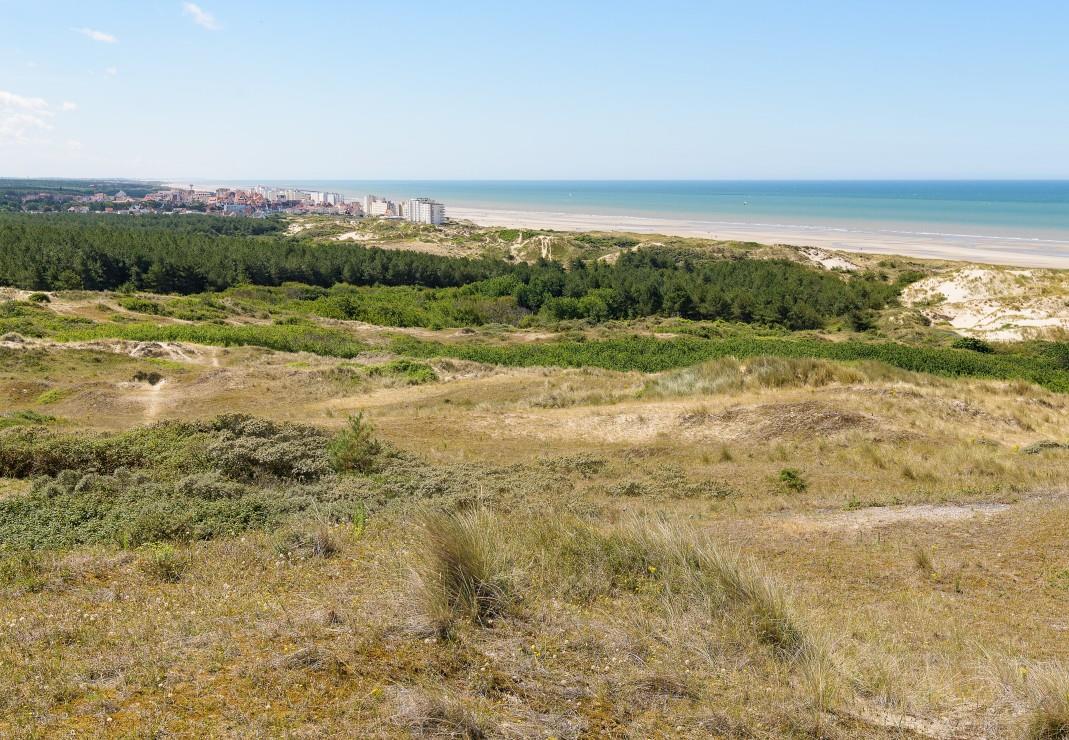 Bluebird Dunes d'Hardelot, Cote d'Opale, France Jigsaw Puzzle (1000 Pieces)