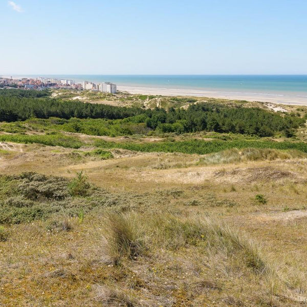 Bluebird Dunes d'Hardelot, Cote d'Opale, France Jigsaw Puzzle (1000 Pieces)