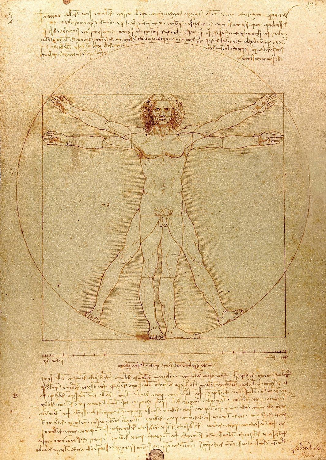 Enjoy Da Vinci - The Vitruvian Man Jigsaw Puzzle (1000 Pieces)