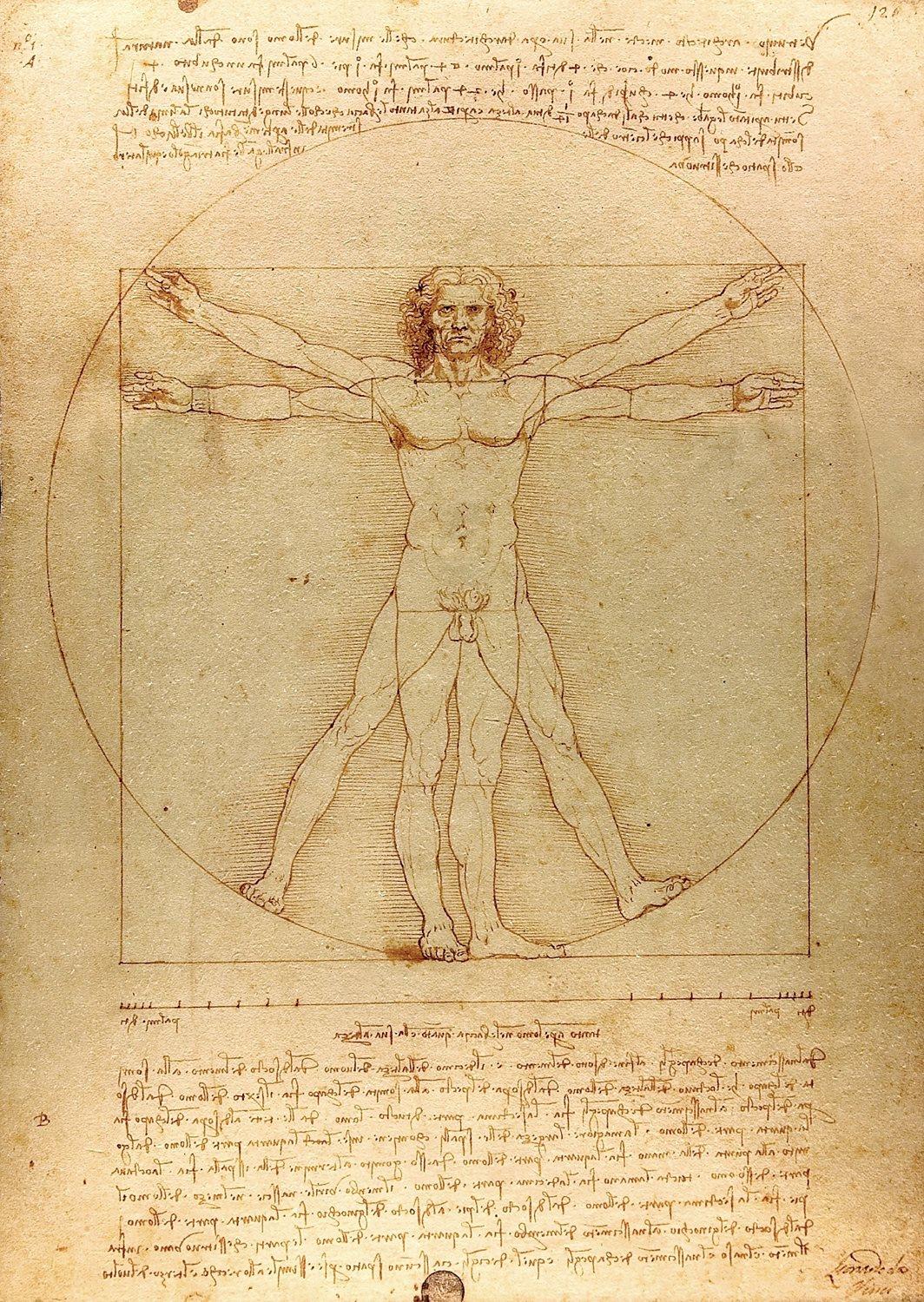 Enjoy Da Vinci - The Vitruvian Man Jigsaw Puzzle (1000 Pieces)