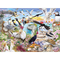 Gibsons RSPB Wings in the Wild Jigsaw Puzzles (4 x 500 Pieces)
