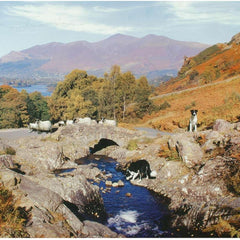 House of Puzzles Thirsty Work Jigsaw Puzzle (1000 Pieces)
