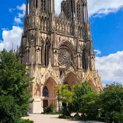 Bluebird Vue sur la Cathédrale de Reims Jigsaw Puzzle (1000 Pieces)