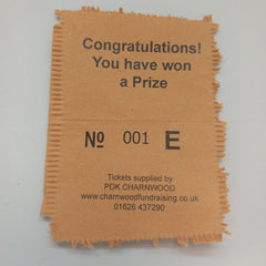 Winner Tombola Tickets - 100 Numbered Winning Tickets (Assorted Colours)