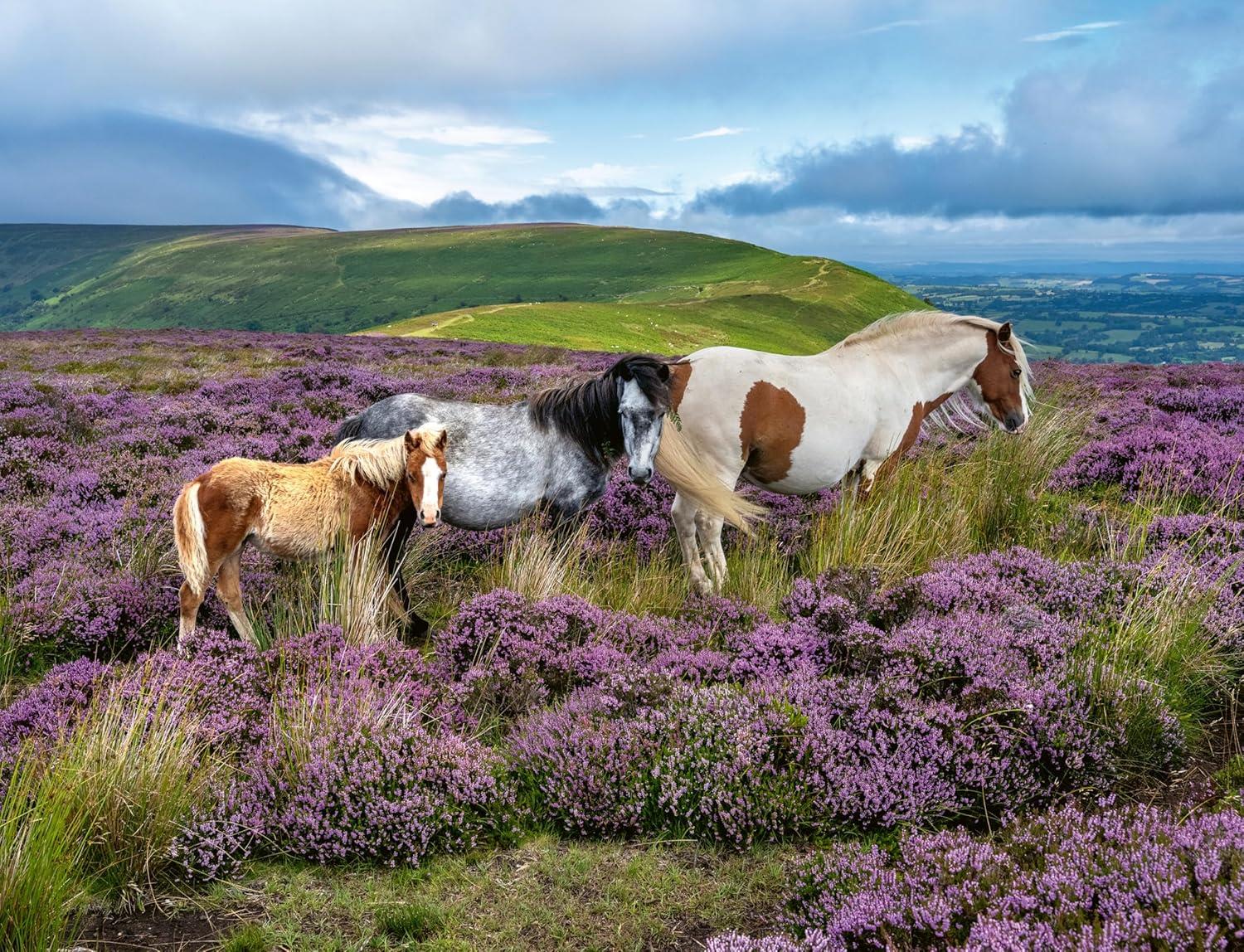 Ravensburger Wild Horses in the Heather Jigsaw Puzzle (2000 Pieces)