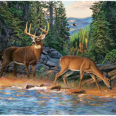 Cobble Hill The River's Edge Jigsaw Puzzle (1000 Pieces)