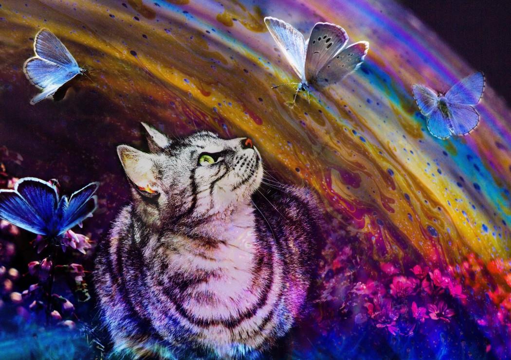 Grafika Cat and Butterflies Jigsaw Puzzle (1500 Pieces)