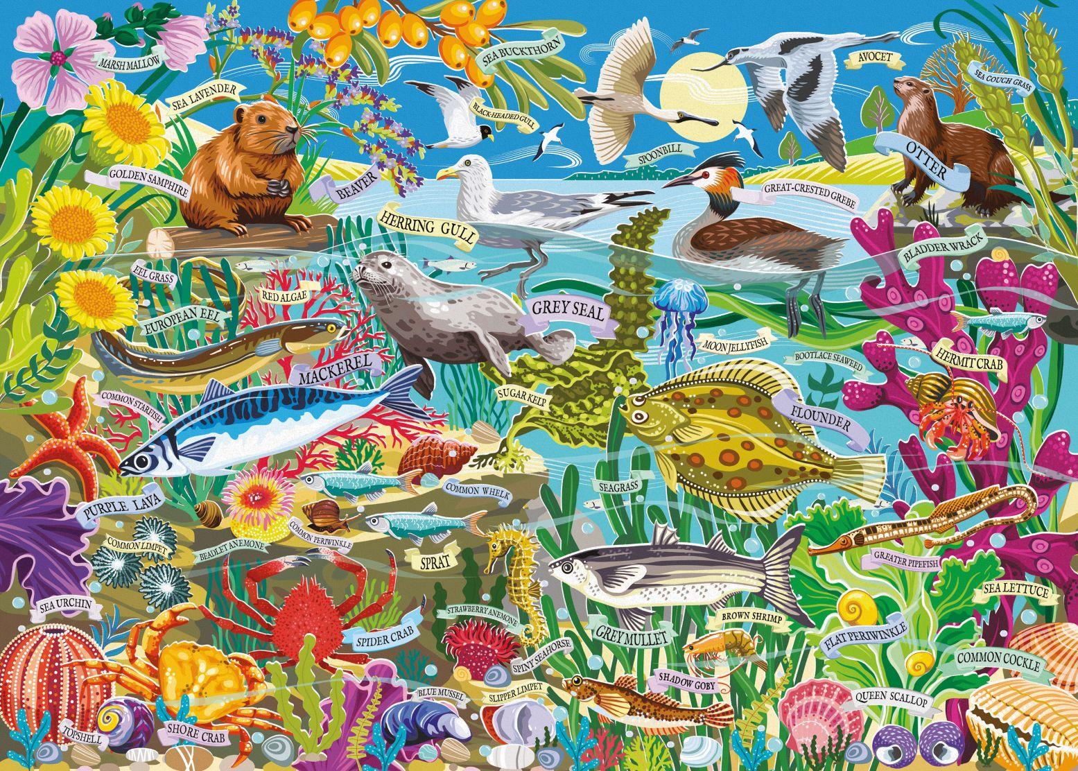 Otter House Water Wildlife Jigsaw Puzzle (1000 Pieces) DAMAGED BOX