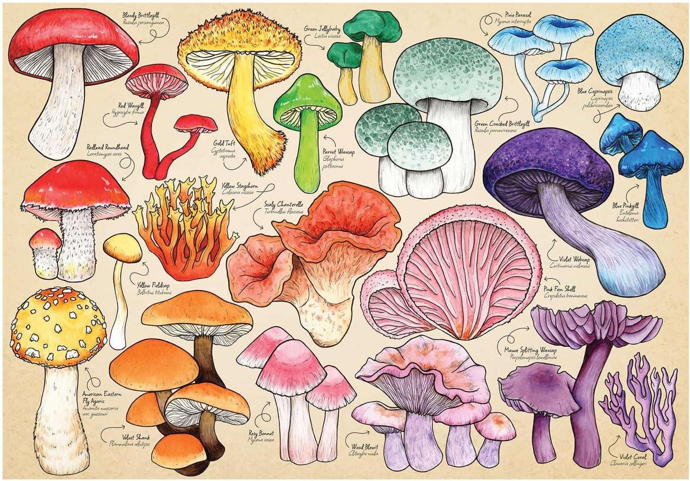 House of Puzzles Mushroom Mania Jigsaw Puzzle (1000 Pieces)