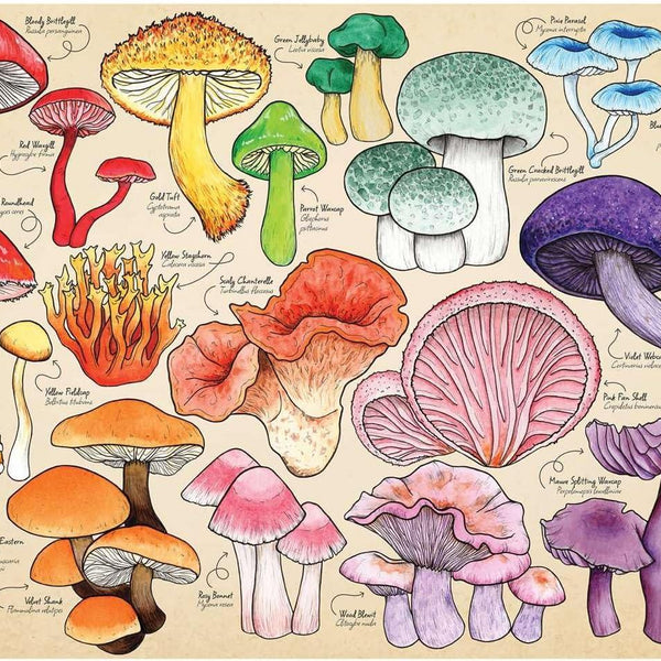 House of Puzzles Mushroom Mania Jigsaw Puzzle (1000 Pieces)