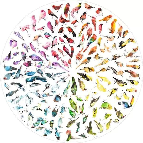Ravensburger Bird Colour Wheel, Circles of Colour Circular Jigsaw Puzzle (500 Pieces)