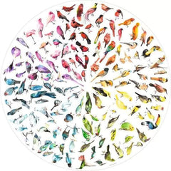 Ravensburger Bird Colour Wheel, Circles of Colour Circular Jigsaw Puzzle (500 Pieces)