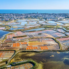 Bluebird 44 - Loire Atlantique - Marais Salants Guérande, Batz-sur-Mer, France Jigsaw Puzzle (500 Pi