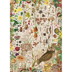 Gibsons RHS Fall Flora Jigsaw Puzzle (1000 Pieces)