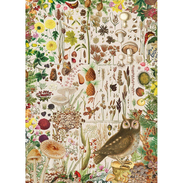 Gibsons RHS Fall Flora Jigsaw Puzzle (1000 Pieces)