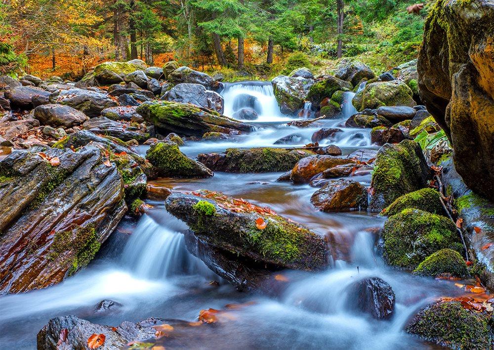 Enjoy Forest Stream in Autumn Jigsaw Puzzle (1000 Pieces)