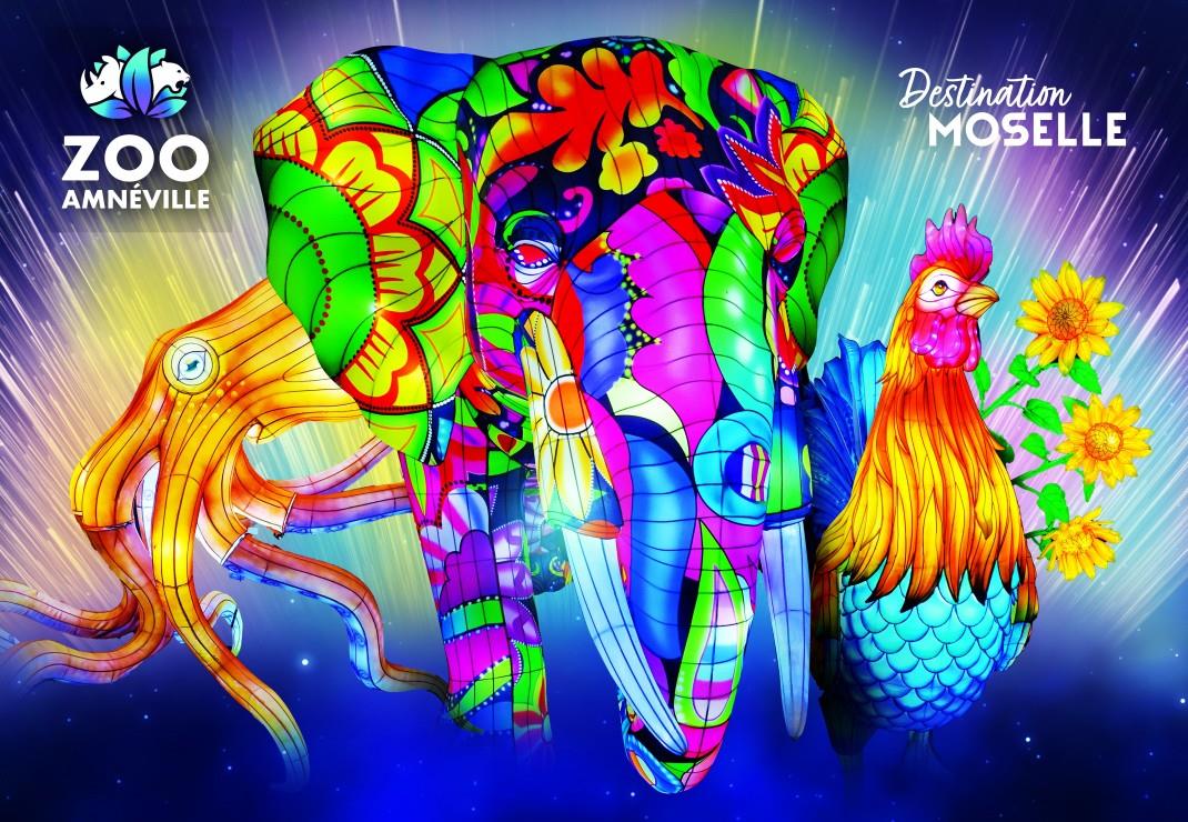 Bluebird Zoo d'Amnéville - Luminescence Jigsaw Puzzle (1000 Pieces)