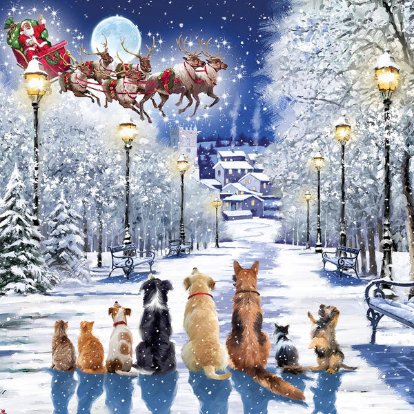 Otter House Watching The Sleigh Jigsaw Puzzle (1000 Pieces)