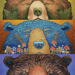 Cobble Hill Bear Eyes: Harvest Jigsaw Puzzle (500 XL Pieces)