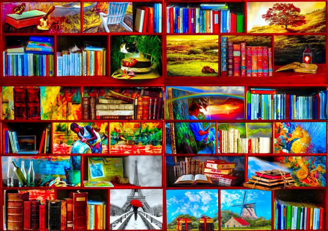 Bluebird The Library The Travel Section Jigsaw Puzzle (1000 Pieces)