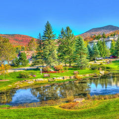 Bluebird Stowe, Vermont, USA Jigsaw Puzzle (1000 Pieces)