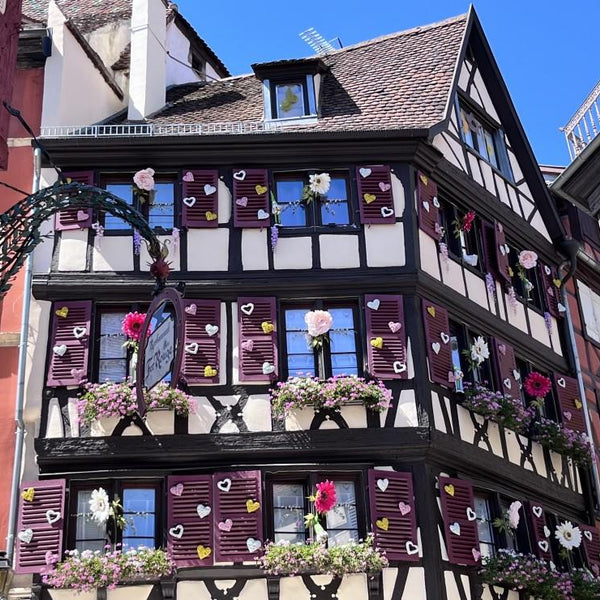 Bluebird Love in Colmar, France Jigsaw Puzzle (500 Pieces)