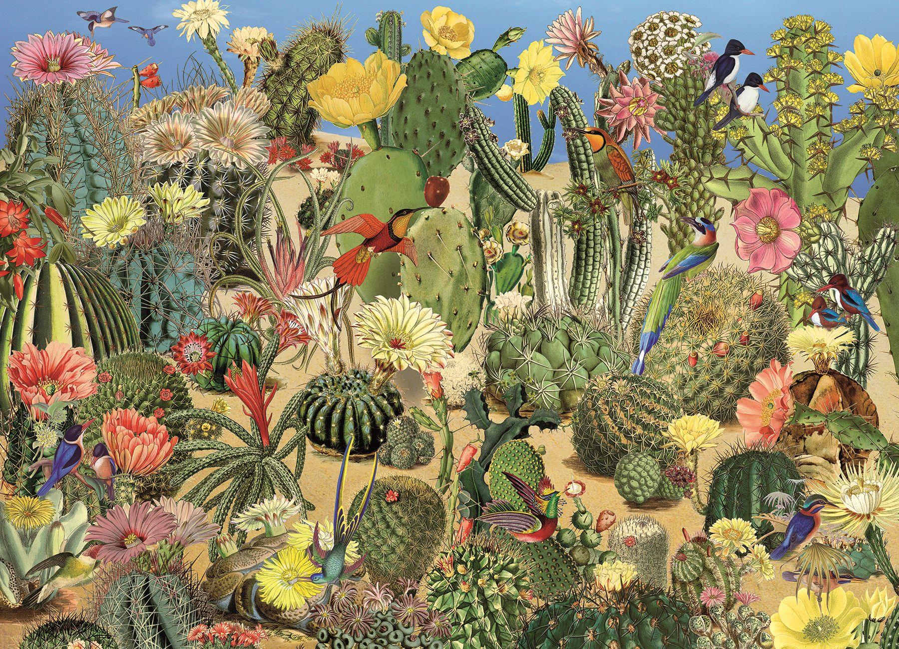 Cobble Hill Cactus Garden Jigsaw Puzzle (1000 Pieces)