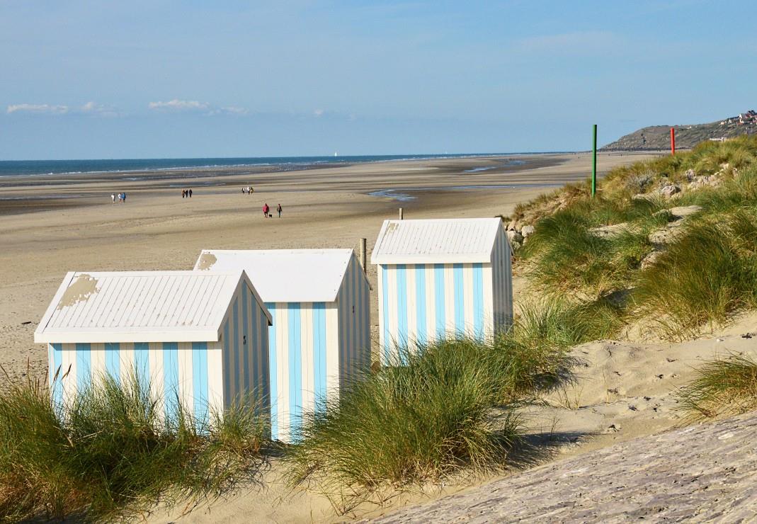 Bluebird Hardelot-Plage, Cote d'Opale, France Jigsaw Puzzle (1000 Pieces)