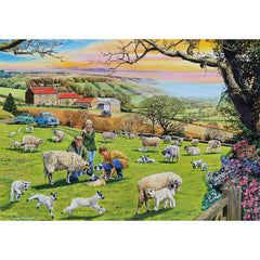 Gibsons Call the Vet Jigsaw Puzzle (4 x 500 Pieces)