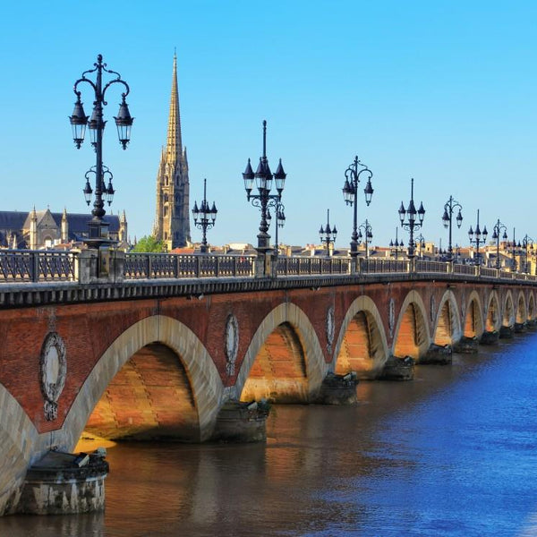 Bluebird Pont de Pierre, Bordeaux Jigsaw Puzzle (1000 Pieces)