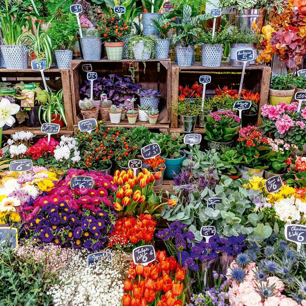 Ravensburger Flower Market, France Jigsaw Puzzle (500 Pieces) DAMAGED BOX