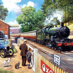 Train Spotting Jigsaw Puzzle (1000 Pieces)