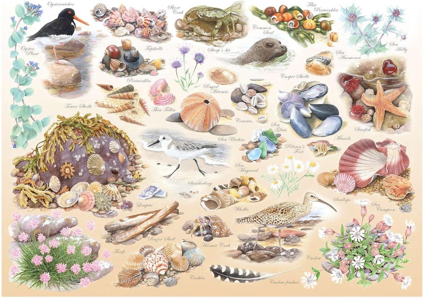House of Puzzles Sea Shore BIG Jigsaw Puzzle (500 XL)