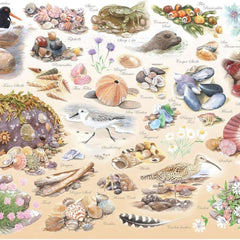House of Puzzles Sea Shore BIG Jigsaw Puzzle (500 XL)